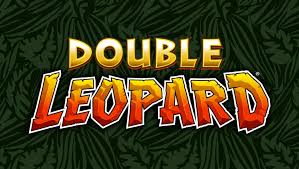Graphics and Design of Game Double Leopard